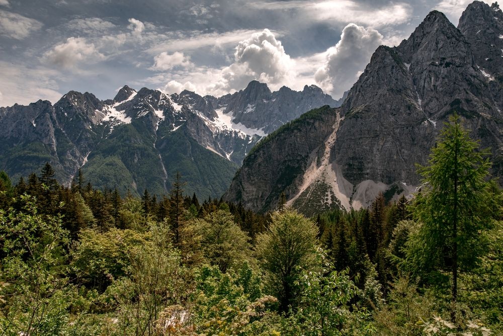 Miroslav Vilim_DSC8168fhd (22).jpg